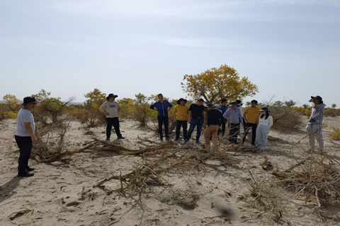 KPay钱包 - 数字化聚合支付新体验