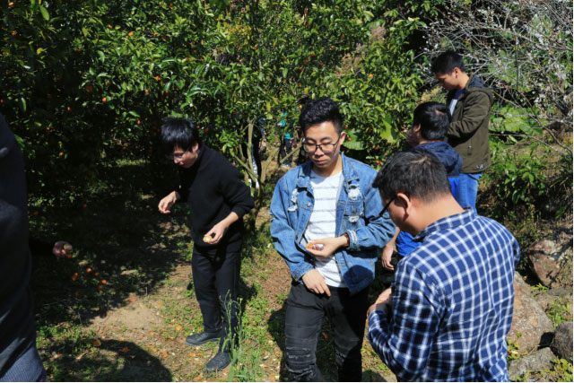 KPay钱包 - 数字化聚合支付新体验